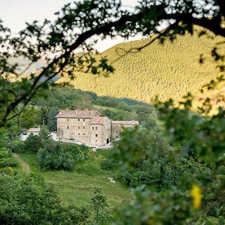 Country House Villa La Farfalla Pietralunga  Kültér fotó