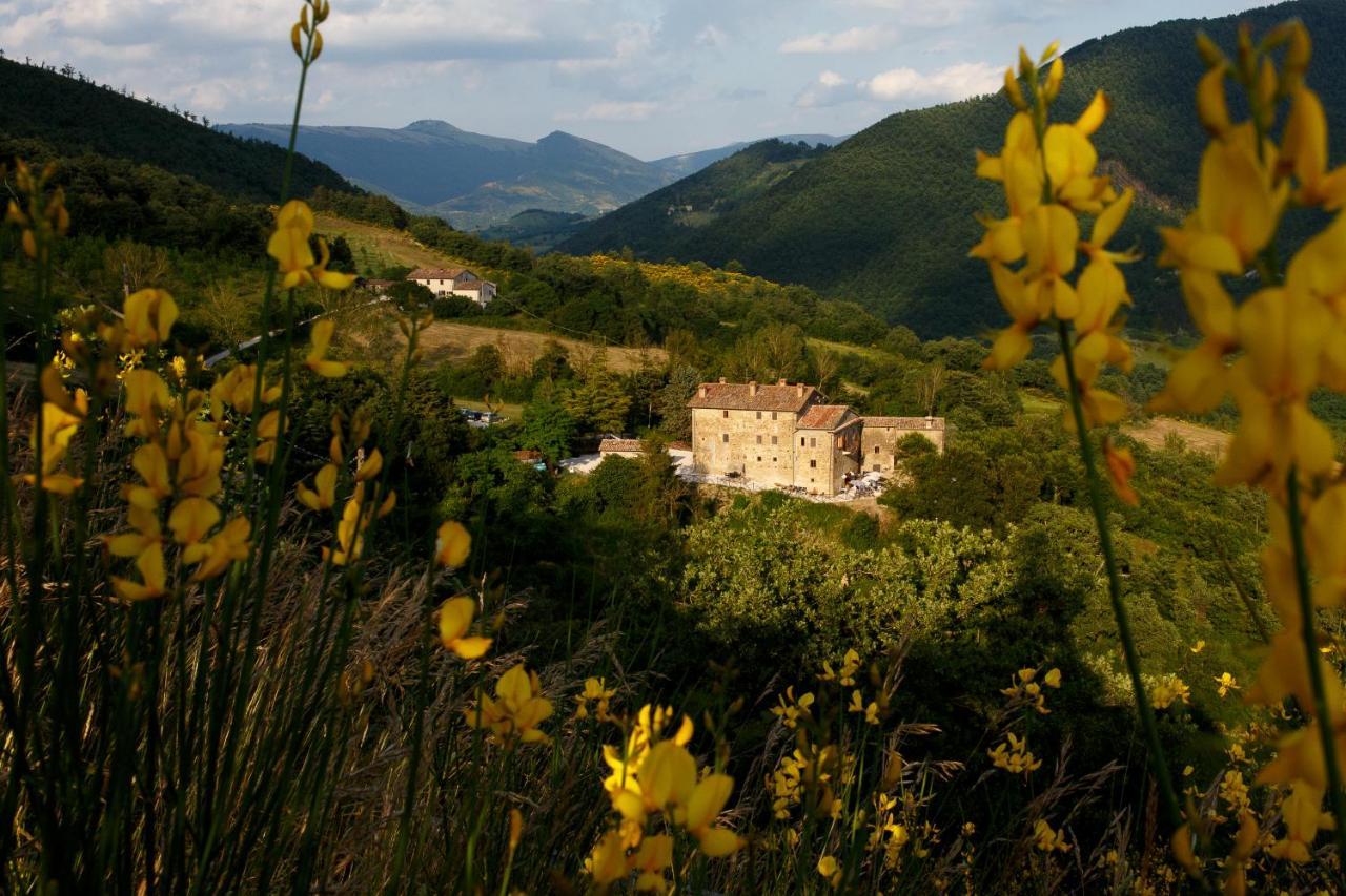 Country House Villa La Farfalla Pietralunga  Kültér fotó